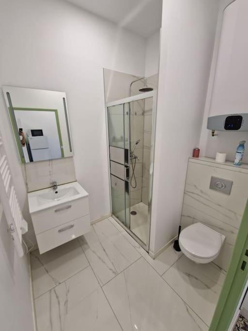 T1 Bis 1 Chambre Saint-Etienne  Luaran gambar